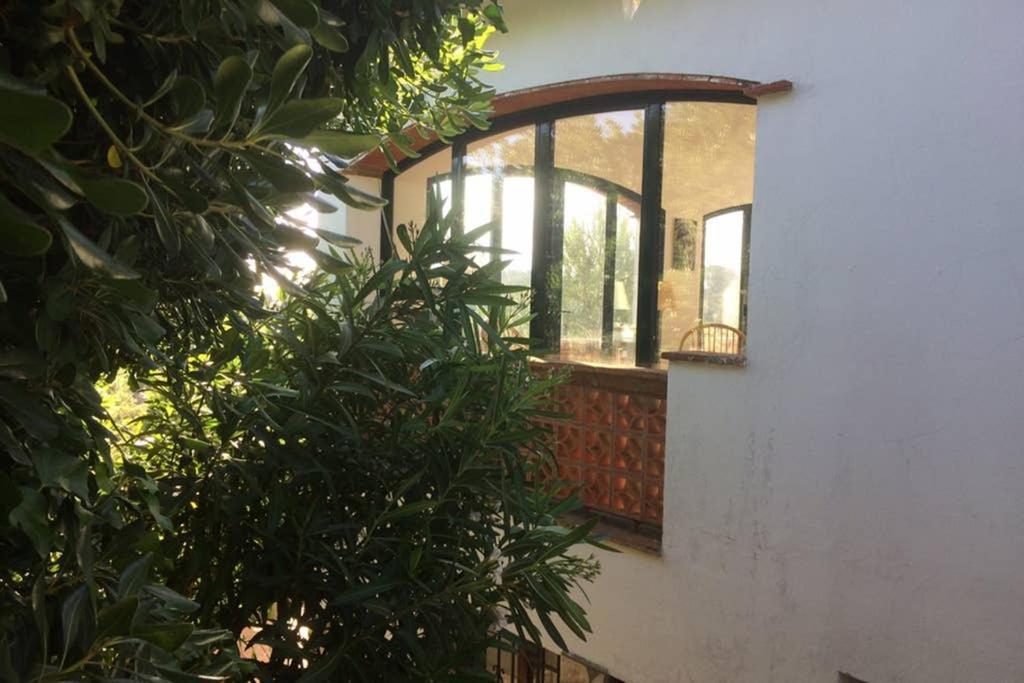 Jolie Villa Vue Mer - 100Km Au Nord De Barcelone - Pals Kültér fotó